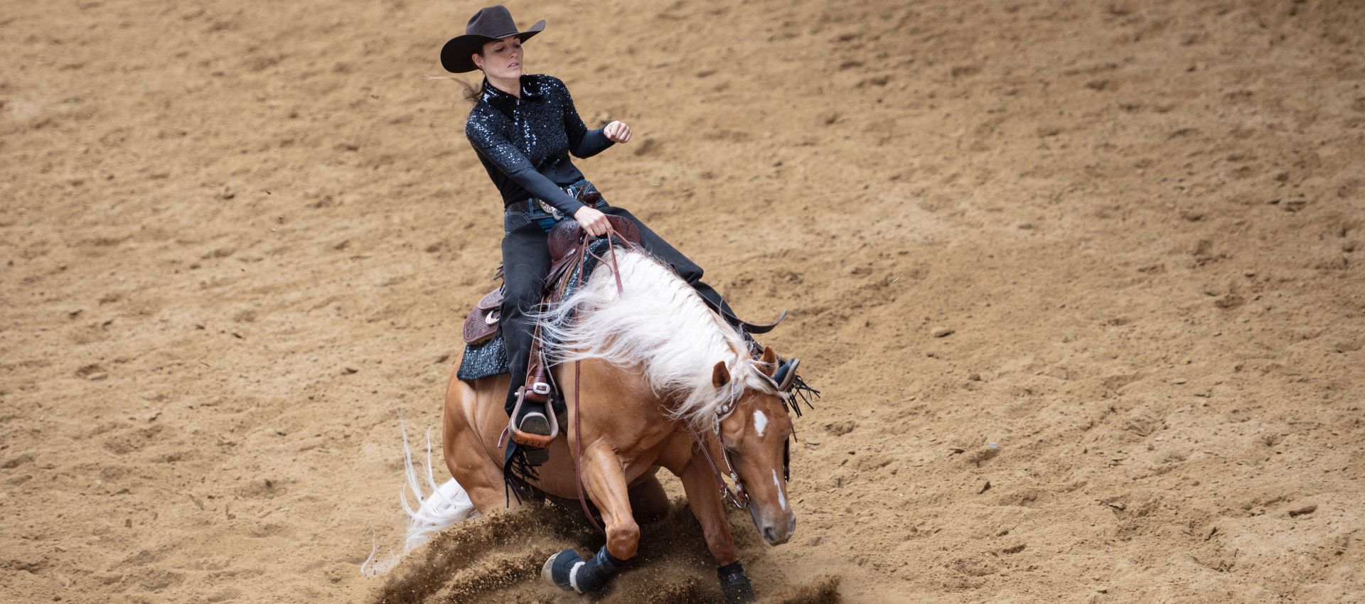 Ride now Equestrian